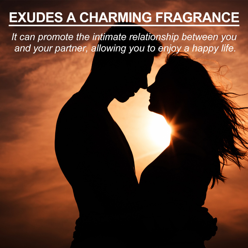 Eau de Cologne pour homme Roxe - Perfume Light Fragrance avis et prix