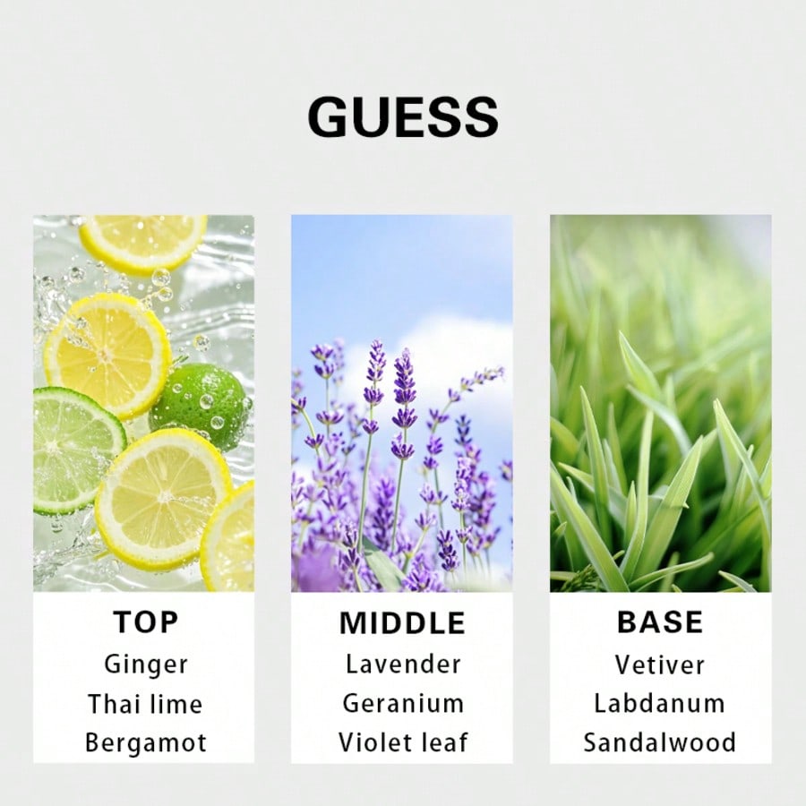 Guess Forever Homme Eau de Toi - Fragrance Perfume Note avis et prix