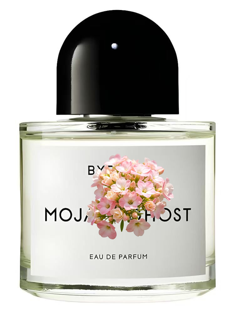 MOJAVE EN DÉFECTIVE  Eau de Pa - Perfume Fragrance For Women avis et prix