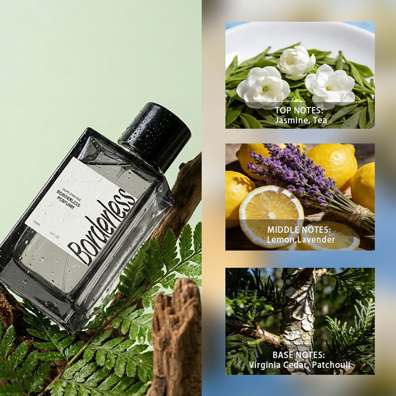 Parfum pour homme de luxe sans - Perfume Fragrance For Men avis et prix